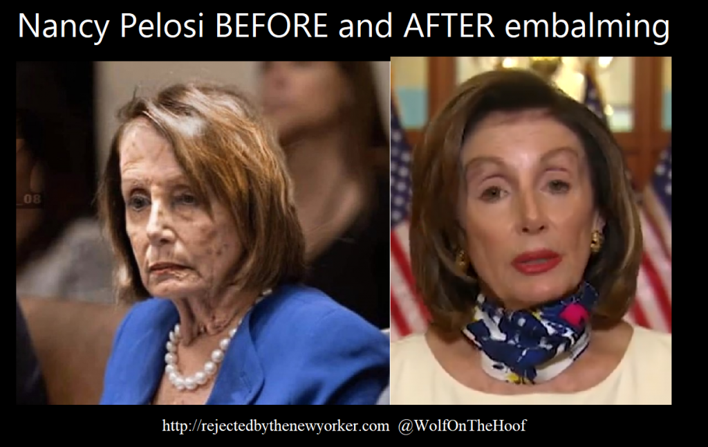 Nancy Pelosi Funny Meme